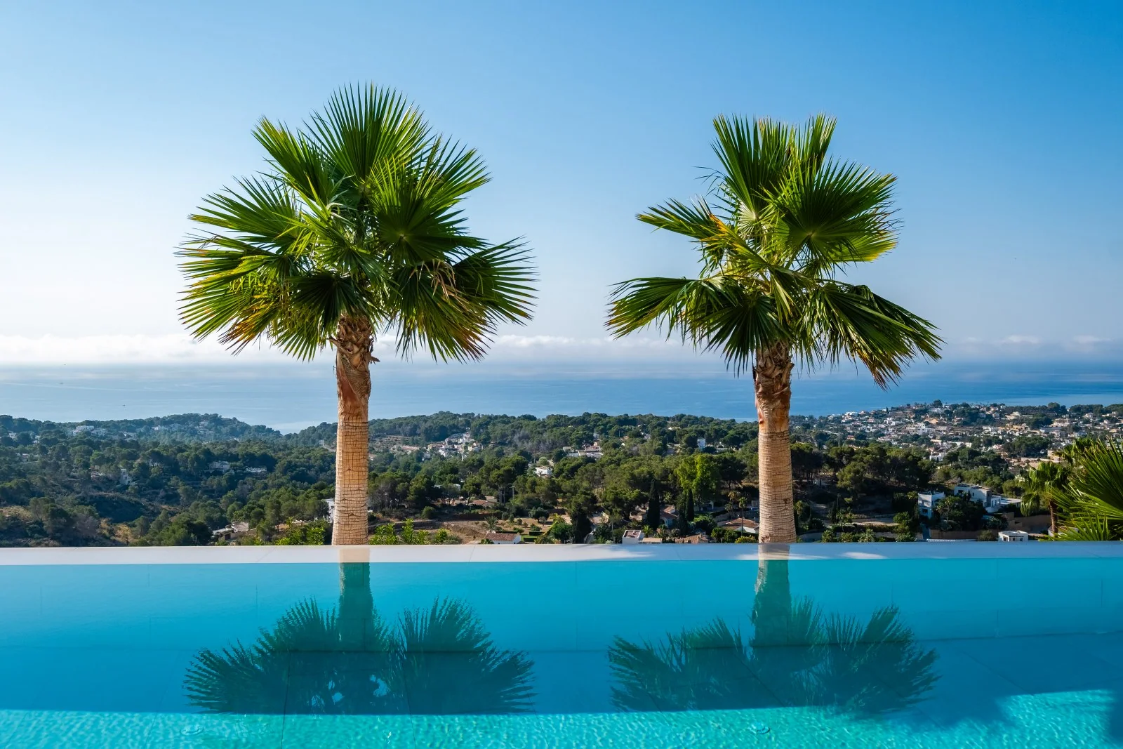 Palms reflected in the pool